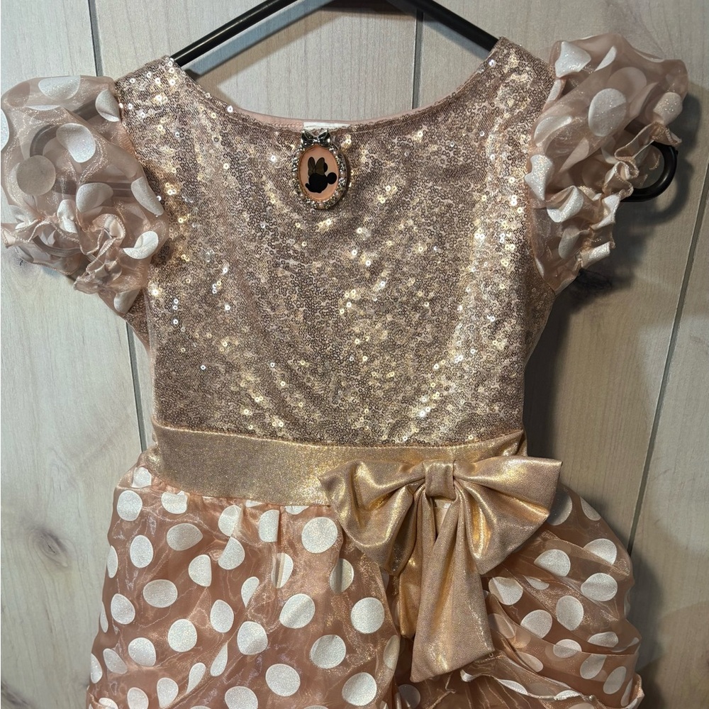 Rose Gold Minnie Mouse Costume